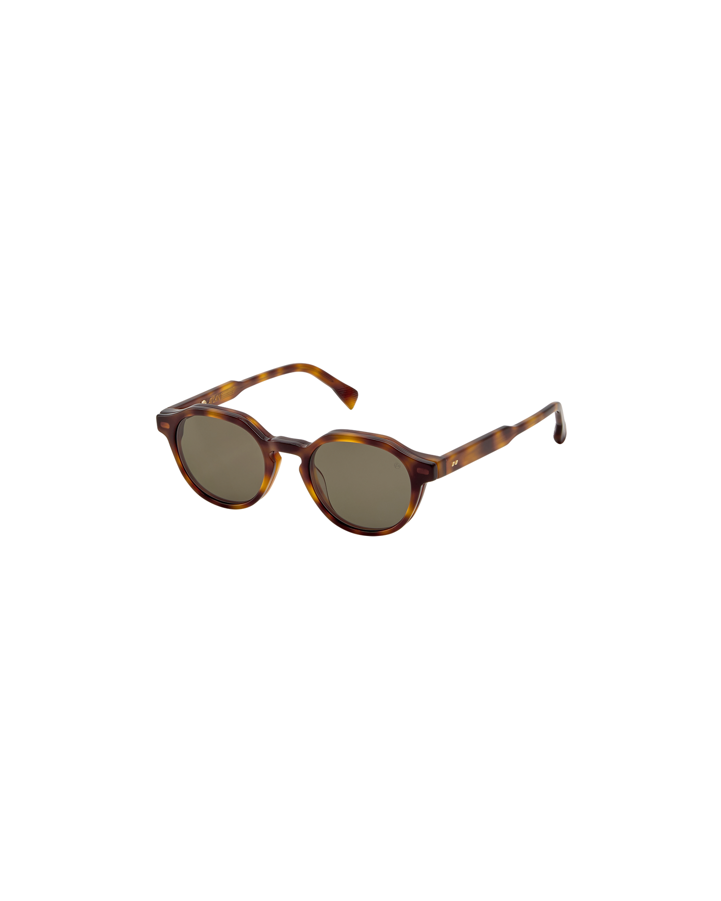 REMO: Redondas Acetato Havana sunglasses by ATLANT 9209