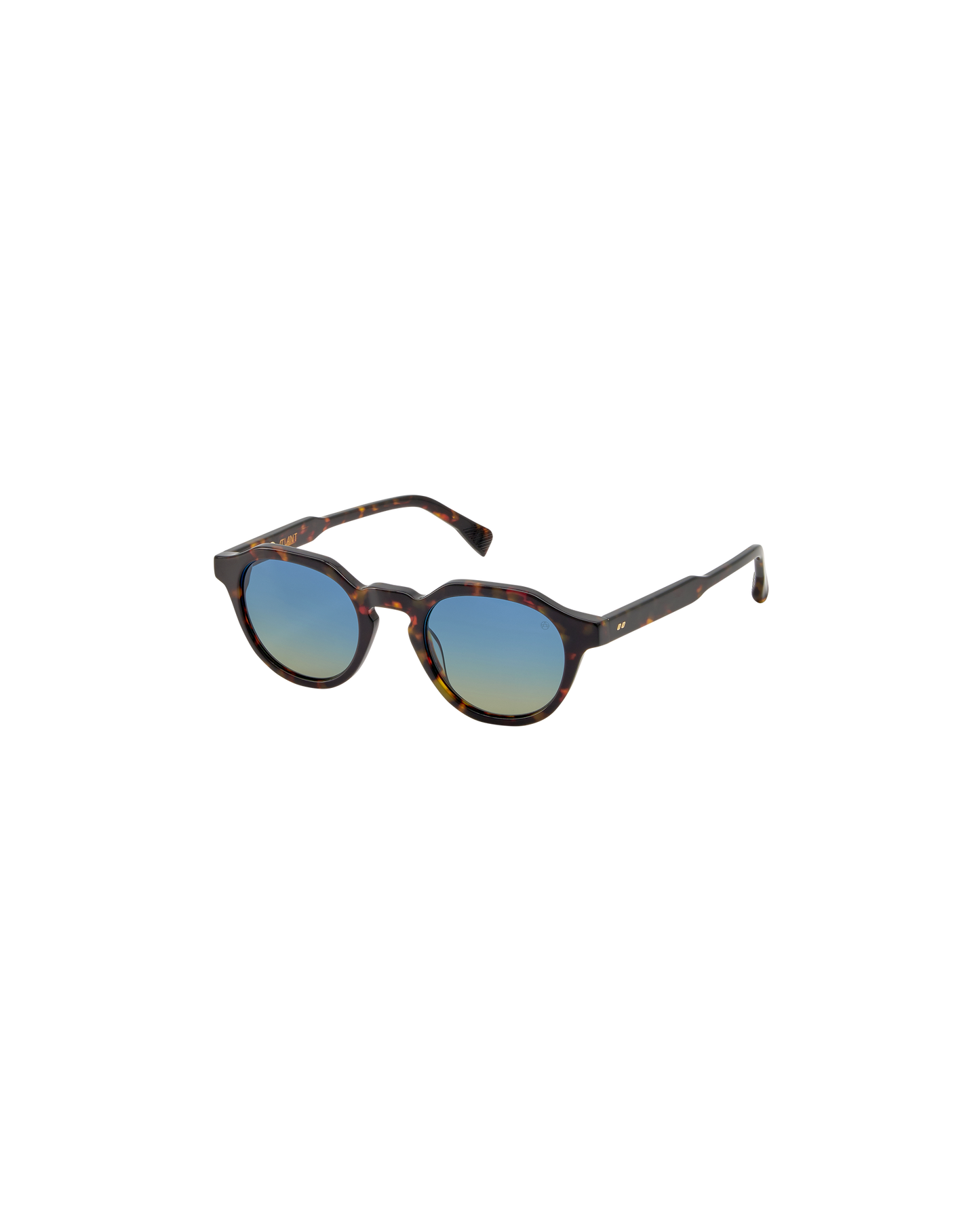 CARLO: Redondas Acetato Havana sunglasses by ATLANT 9217