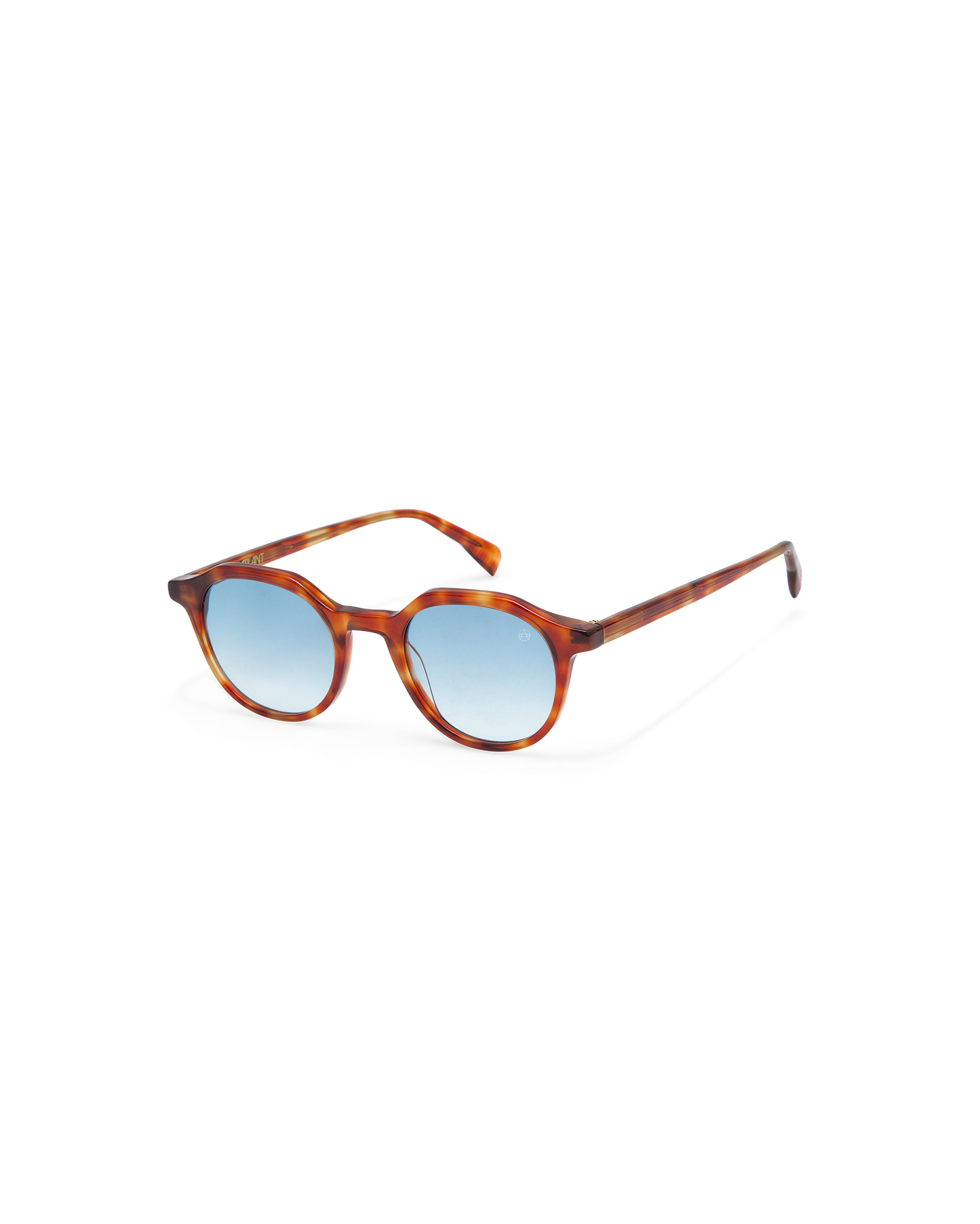 CARVER: Redondas Acetato Havana sunglasses by ATLANT 11252
