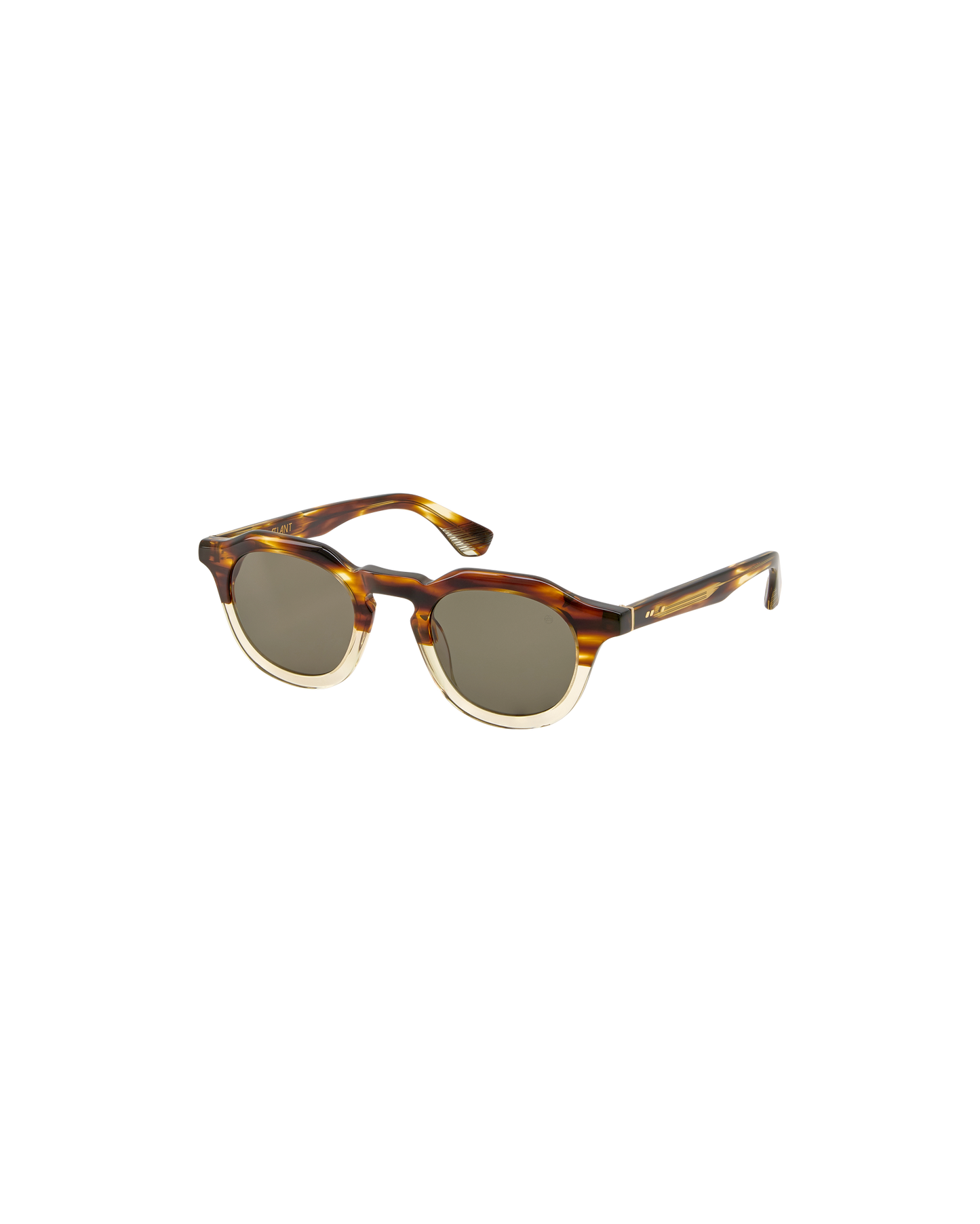 JEAN: Redondas Acetato Havana sunglasses by ATLANT 9256