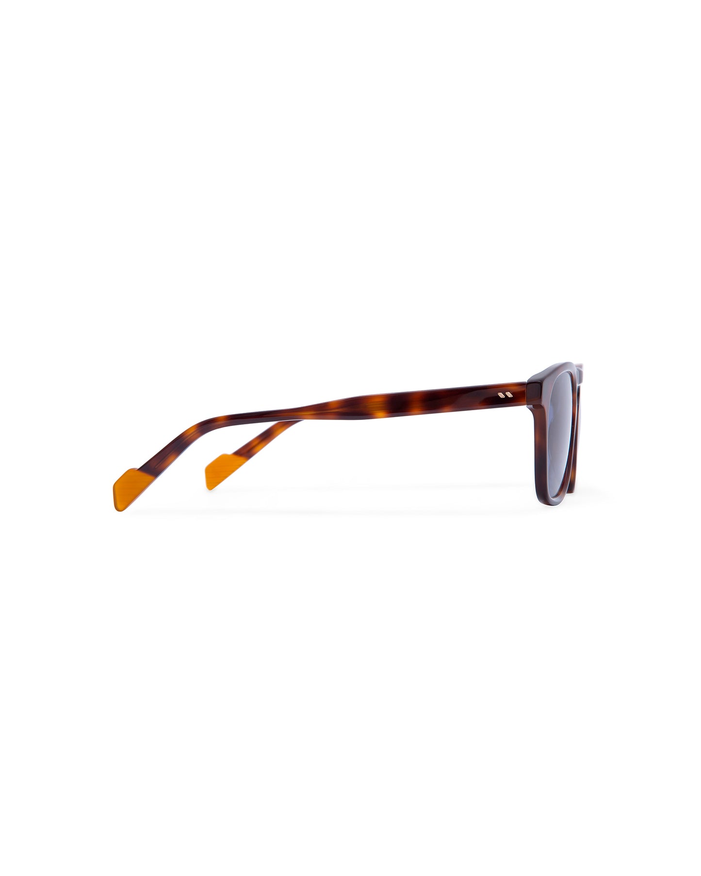 BRISBANE: Cuadrada Acetato Havana sunglasses by ATLANT 6828