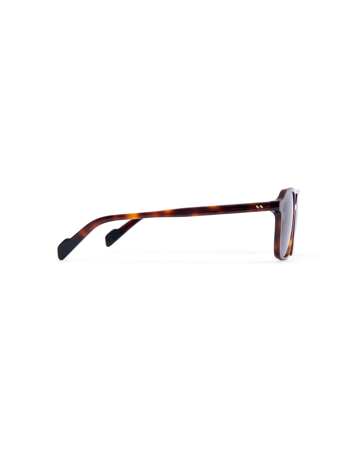GALWAY: Aviador Acetato Havana sunglasses by ATLANT 6908