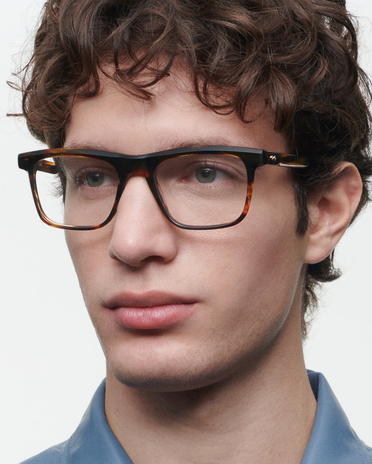EDISON: Cuadrada Acetato Havana optical glasses by GIGI STUDIOS 6108