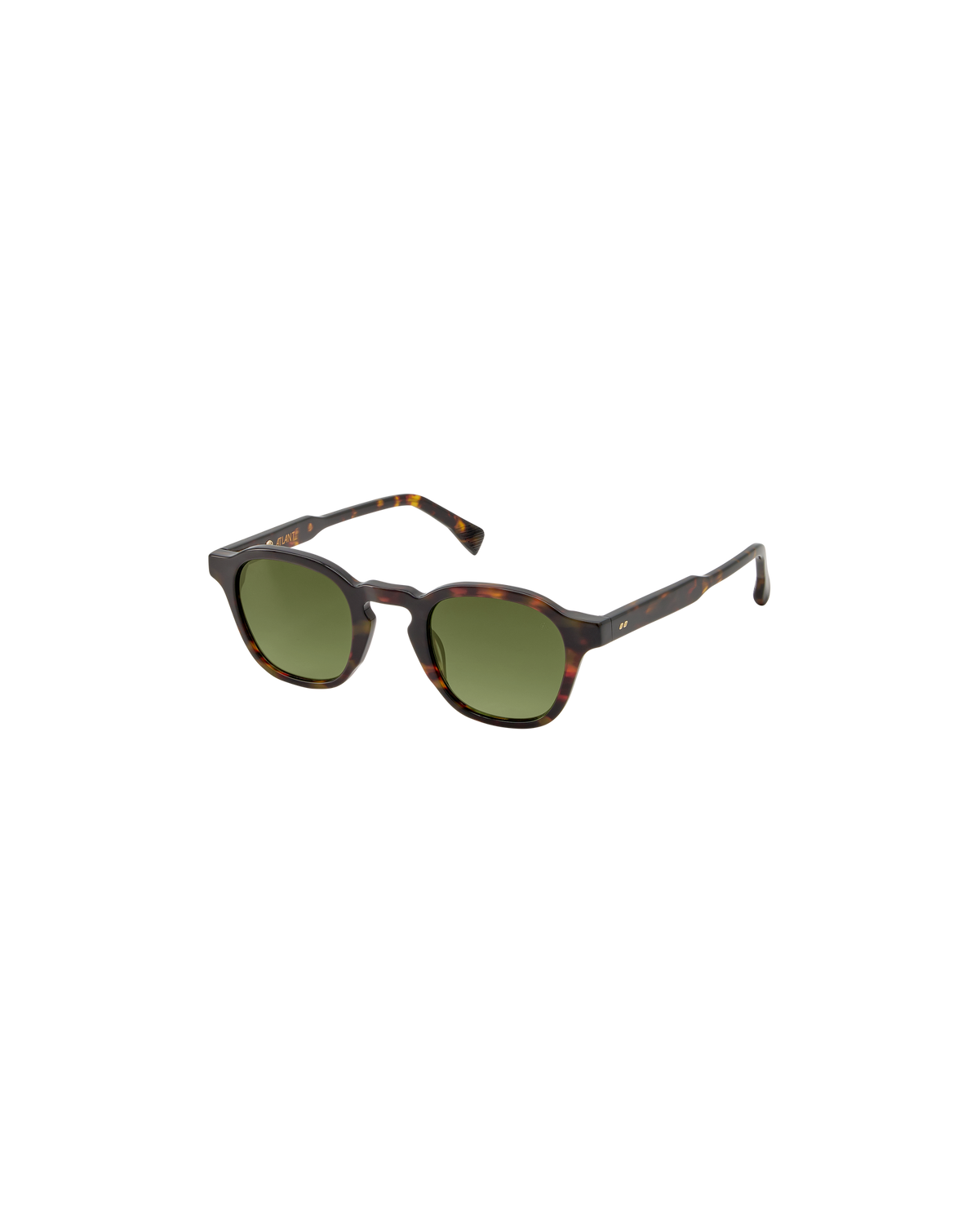 BRUNO: Redondas Acetato Havana sunglasses by ATLANT 9225