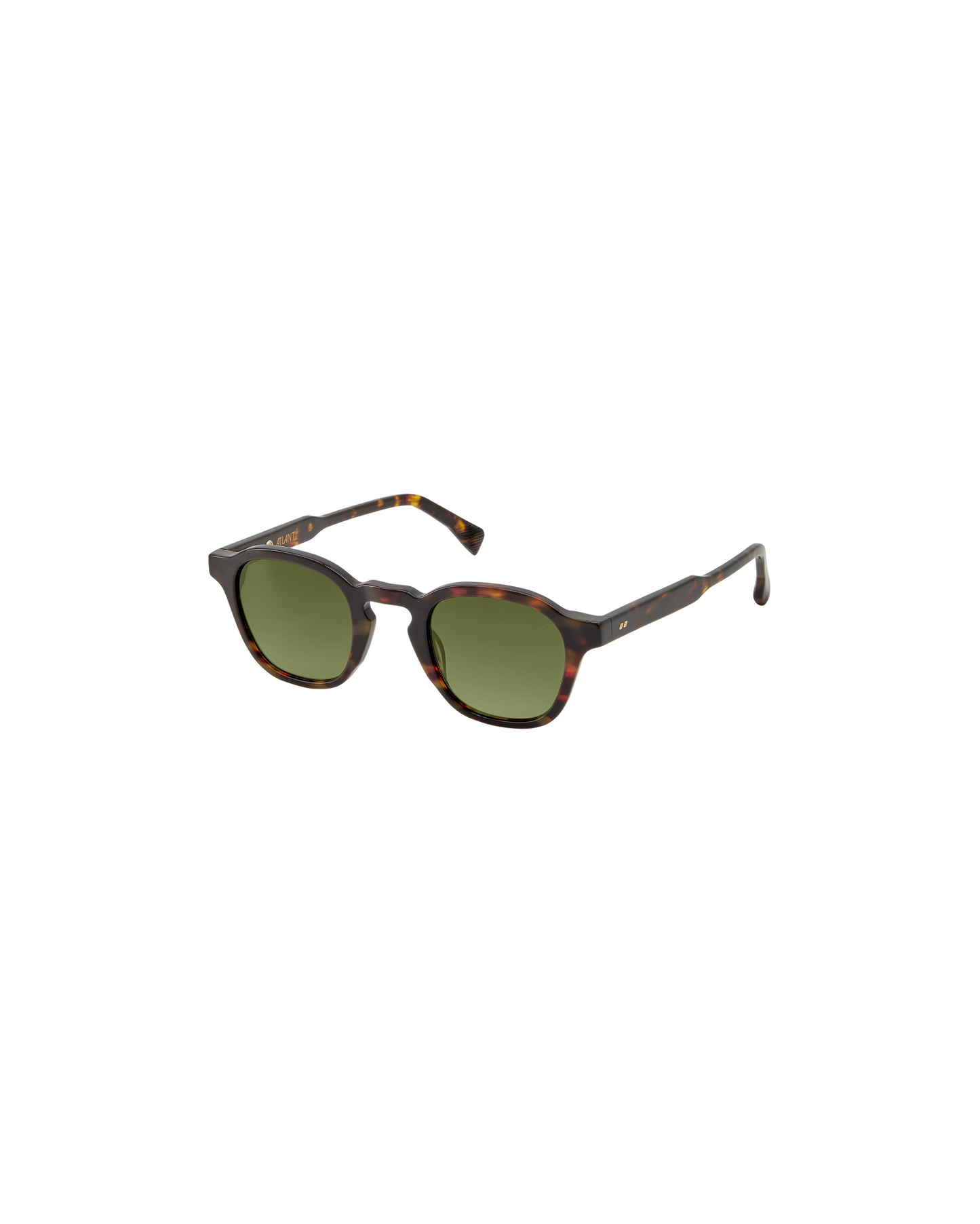BRUNO: Redondas Acetato Havana sunglasses by ATLANT 9225