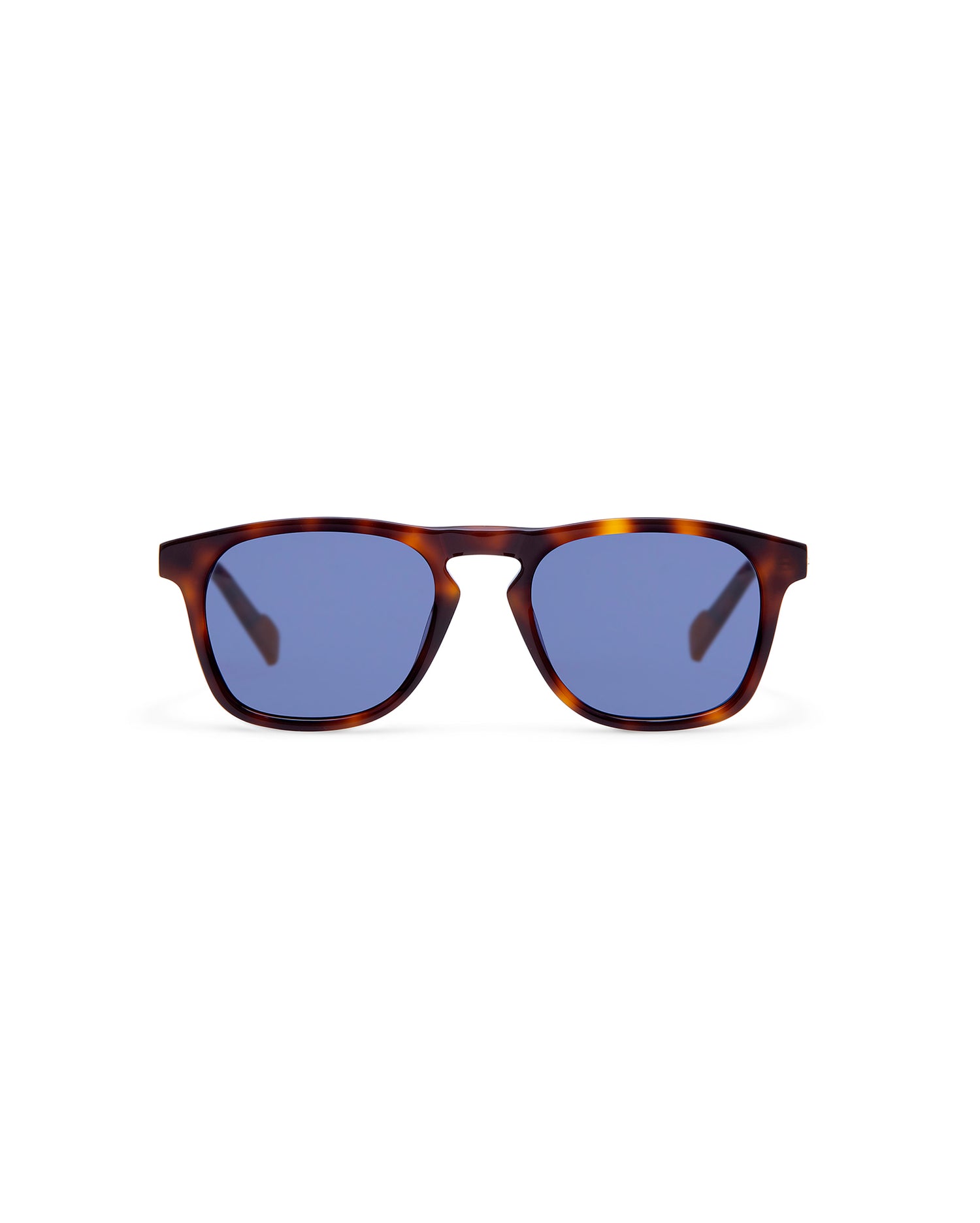 BRISBANE: Cuadrada Acetato Havana sunglasses by ATLANT 6825