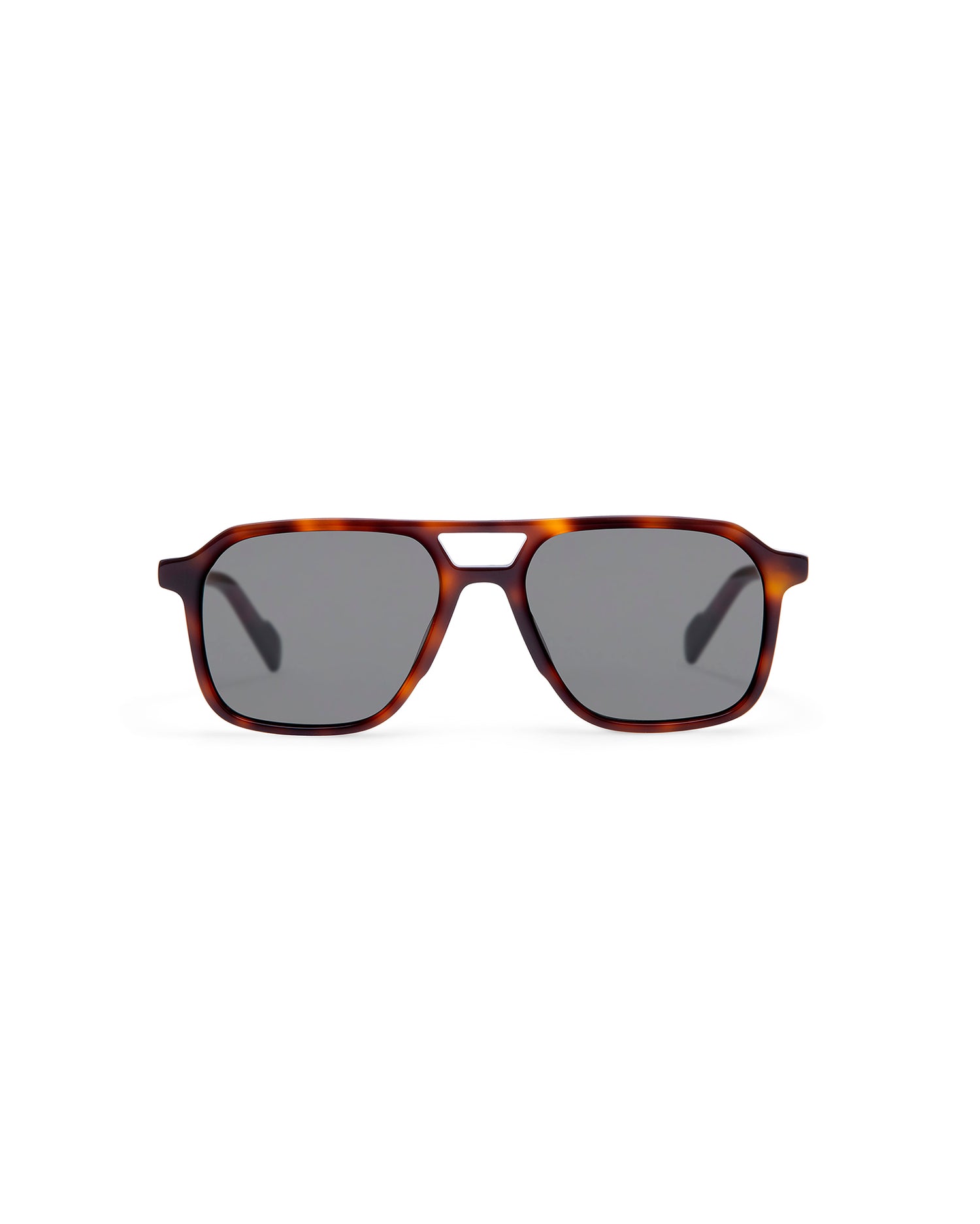 GALWAY: Aviador Acetato Havana sunglasses by ATLANT 6905
