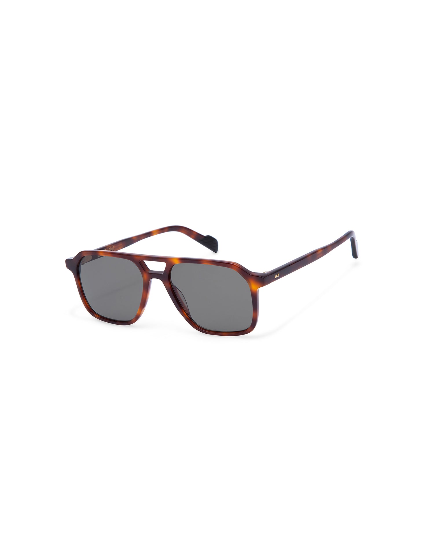 GALWAY: Aviador Acetato Havana sunglasses by ATLANT 6906
