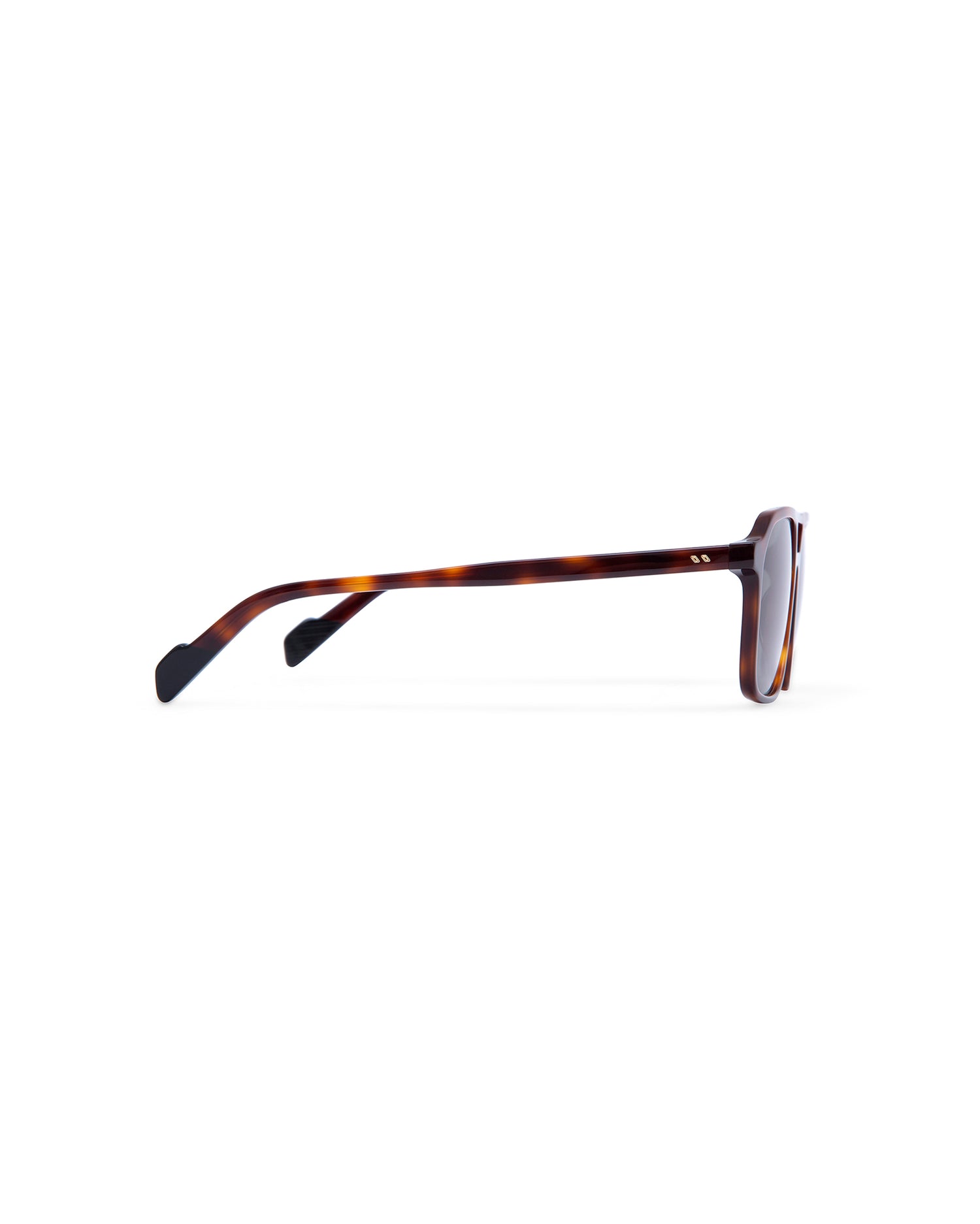 GALWAY: Aviador Acetato Havana sunglasses by ATLANT 6908